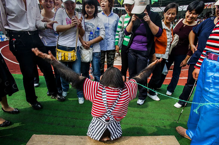 Ildlife Photojournalist Story Award Winner: "It Starts When They’re Young" By Paul Hilton