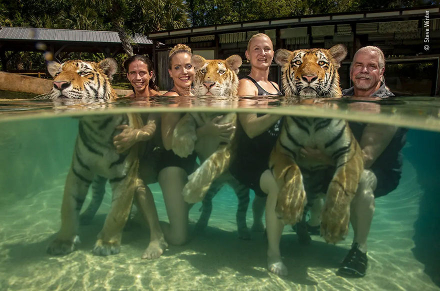 Wildlife Photojournalist Story Award Highly Commended: "See How They Swim" By Steve Winter