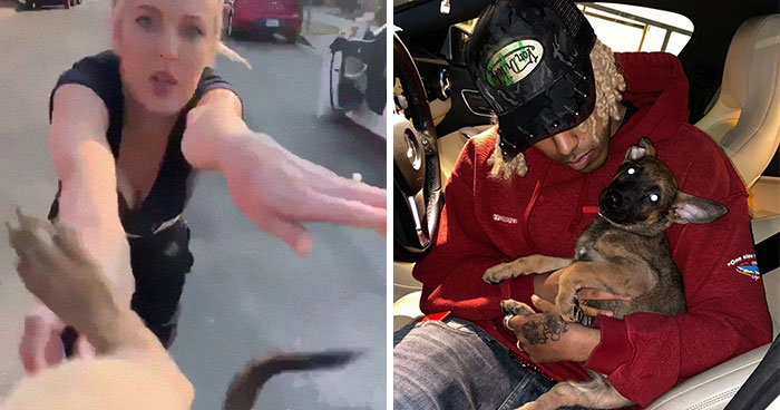 Esta mujer le arrojó un cachorro a un hombre, él se negó a devolvérselo y muestra lo feliz que es el perro ahora