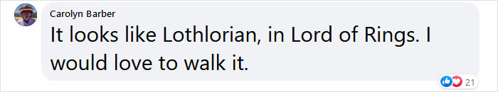This Forest In Indonesia Is Home To A Magical Bridge Of Lights Suspended Among Trees This Forest In Indonesia Is Home To A Magical Bridge Of Lights Suspended Among Trees