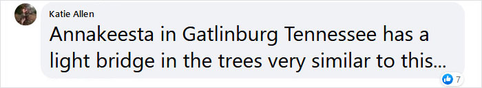 This Forest In Indonesia Is Home To A Magical Bridge Of Lights Suspended Among Trees