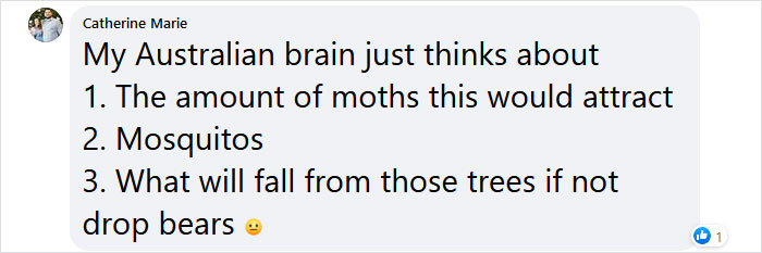 This Forest In Indonesia Is Home To A Magical Bridge Of Lights Suspended Among Trees This Forest In Indonesia Is Home To A Magical Bridge Of Lights Suspended Among Trees