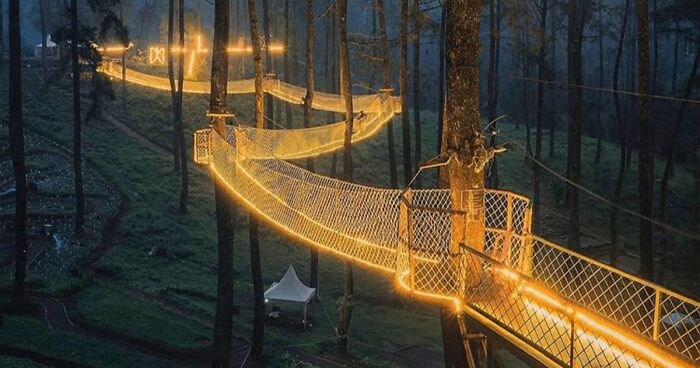 This Forest In Indonesia Is Home To A Magical Bridge Of Lights Suspended Among Trees