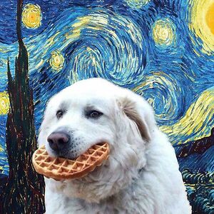 sp1derc0la-12345 avatar