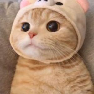 natalierogers avatar