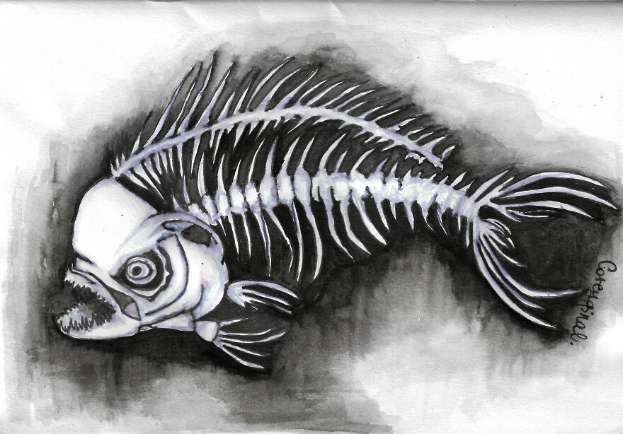 Day 1 - Fish