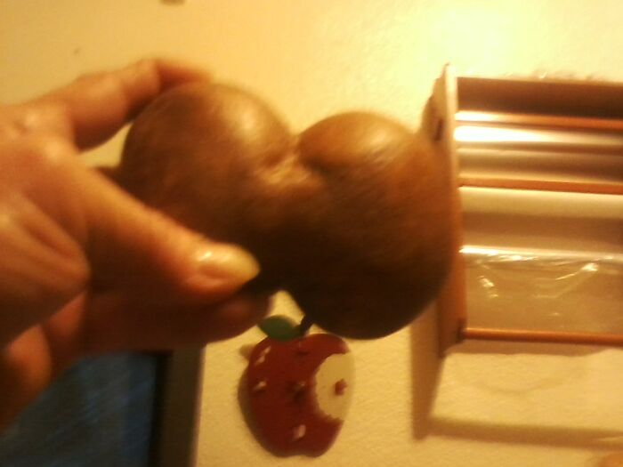 Conjoined Potatoes. (Sorry, Not Too Clear)