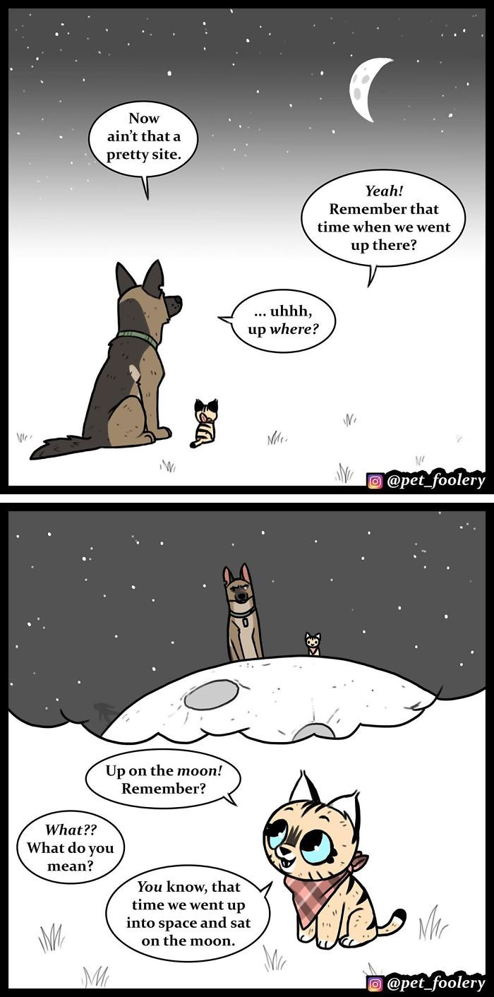 15 New Hilariously Adorable Comics About Brutus And Pixie To Instantly Make Your Day