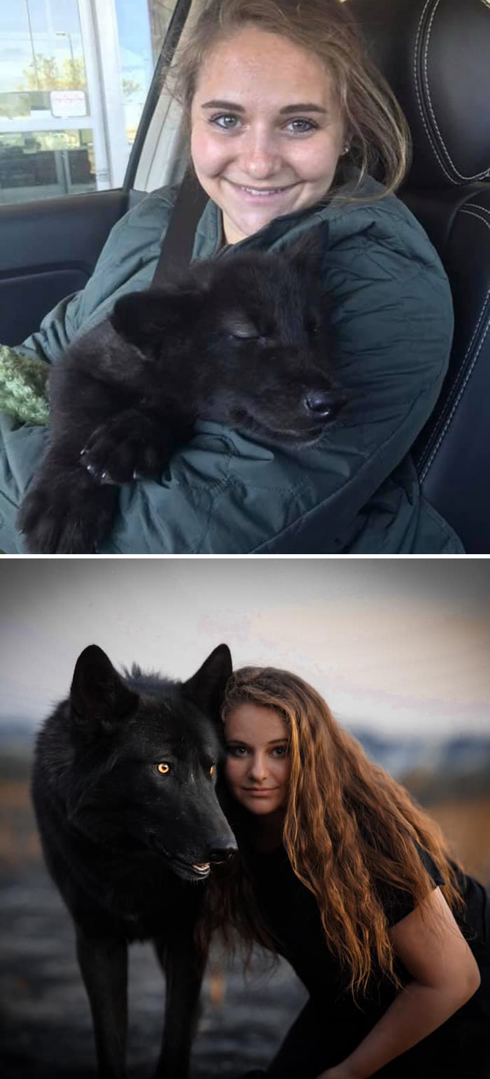 Before-After-Pet-Challenge