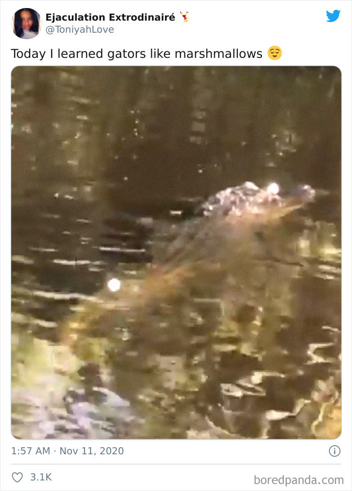 People-Share-Today-I-Learned-Interesting-Facts