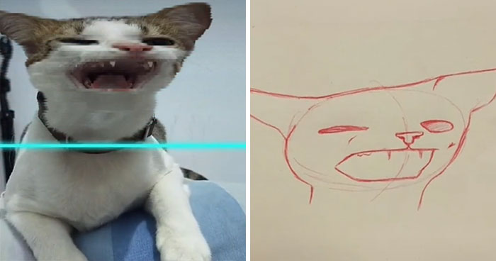 Time-Warp-Scan-Dogs-Cats-Drawing