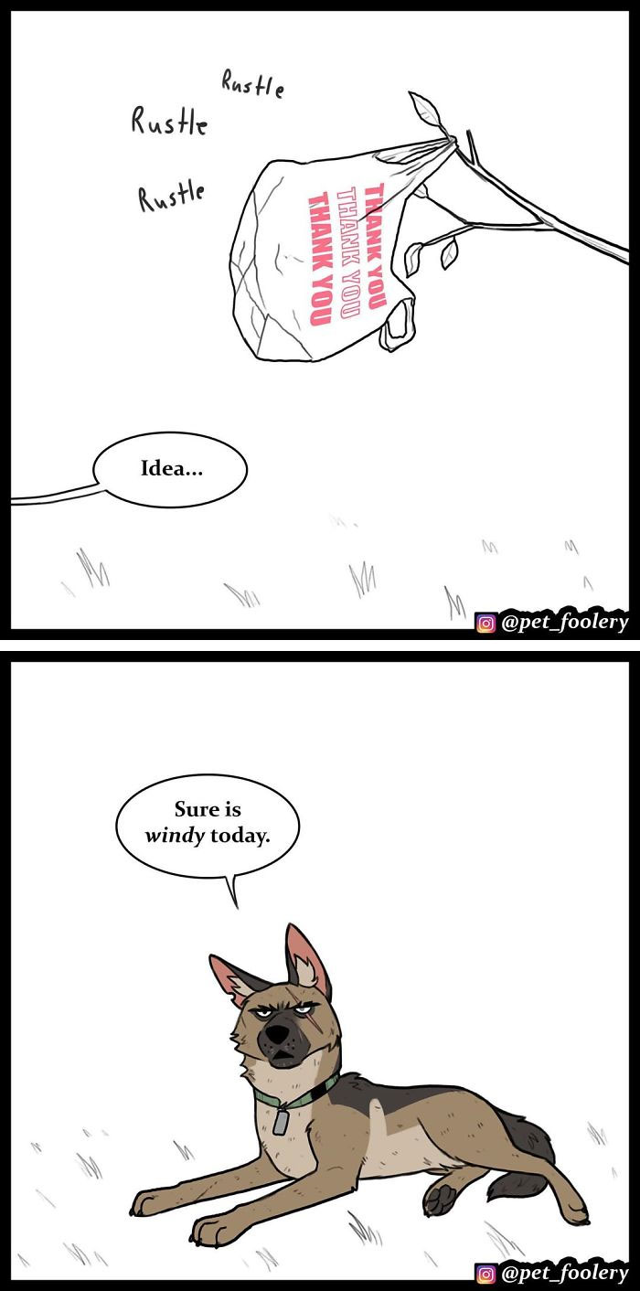 15 New Hilariously Adorable Comics About Brutus And Pixie To Instantly Make Your Day 15 New Hilariously Adorable Comics About Brutus And Pixie To Instantly Make Your Day