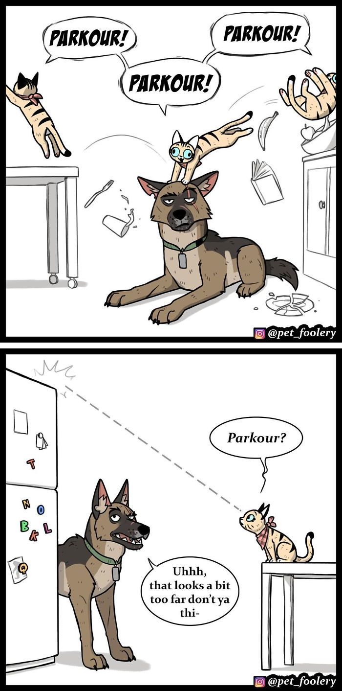 15 New Hilariously Adorable Comics About Brutus And Pixie To Instantly Make Your Day