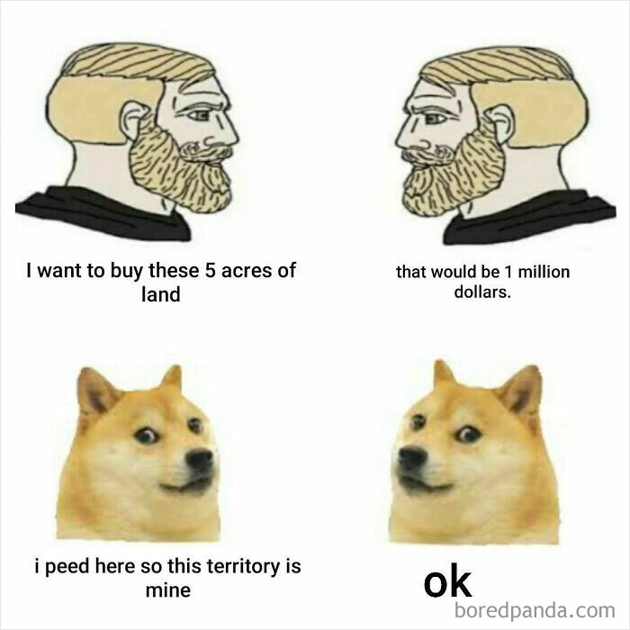 Dog meme parodying land ownership with humorous dialogue.