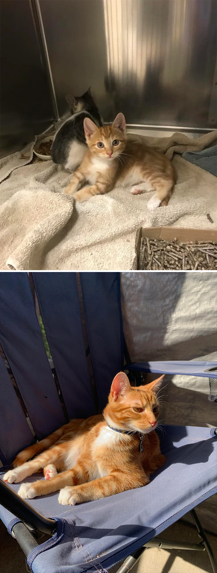 Meet Luke. The Day We Met vs. Six Months Later