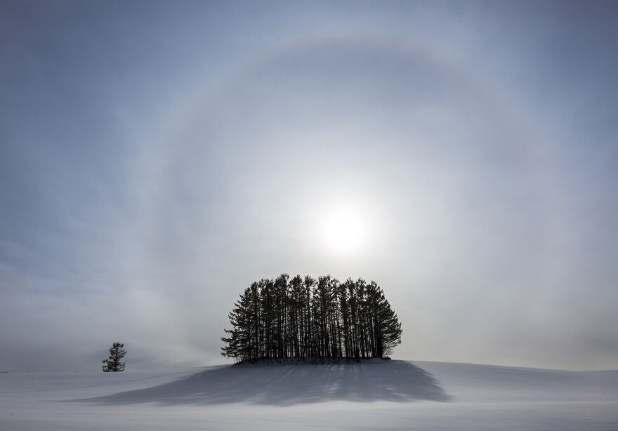 Divine Light (Professional Nature & Trees Category, 1st Place)
