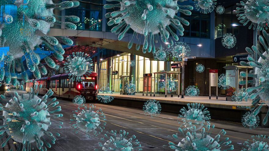 The Silent Menace (Professional Special & Digitally Enhanced Category, 1st Place)