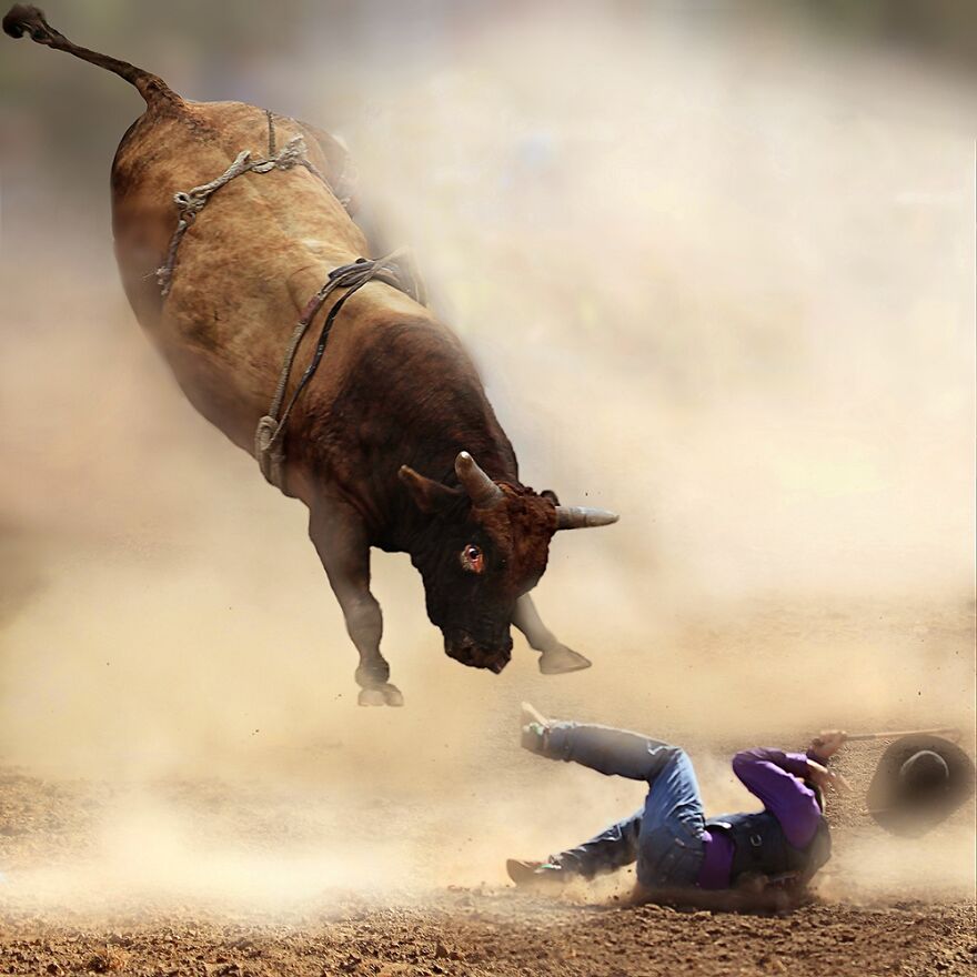Australian Taralga Rodeo (Professional Sports & Sports Competitions, 1st Place)
