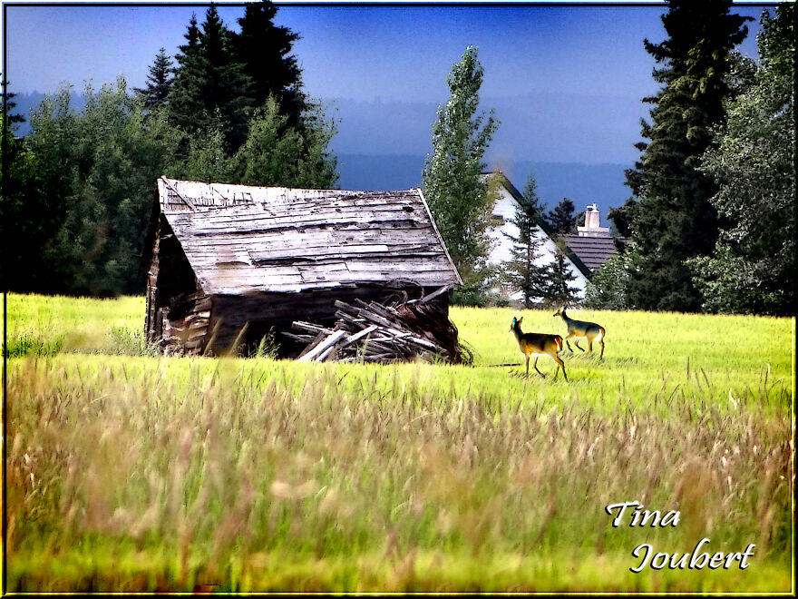 Tina's Road Trips Tina's Road Trips