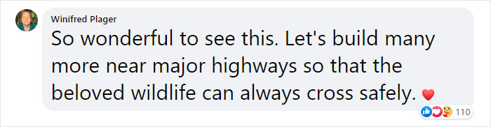 The Highway Overpass In Utah Is A Major Success And The Video Shows Many Wild Animals Using It To Avoid Danger The Highway Overpass In Utah Is A Major Success And The Video Shows Many Wild Animals Using It To Avoid Danger