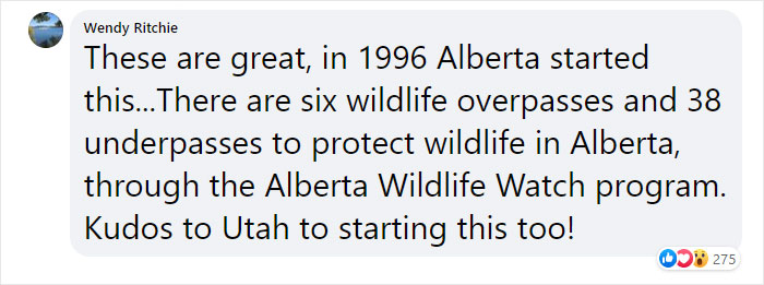 The Highway Overpass In Utah Is A Major Success And The Video Shows Many Wild Animals Using It To Avoid Danger The Highway Overpass In Utah Is A Major Success And The Video Shows Many Wild Animals Using It To Avoid Danger