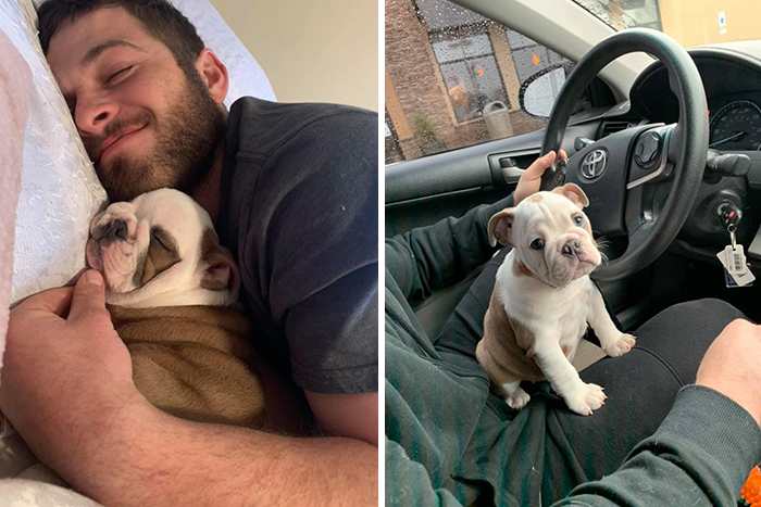 Didnt-Want-A-Dog-Challenge