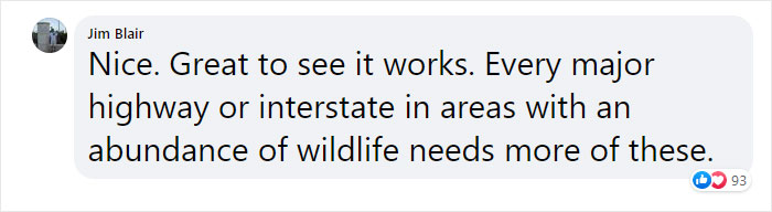 The Highway Overpass In Utah Is A Major Success And The Video Shows Many Wild Animals Using It To Avoid Danger