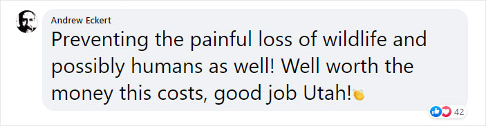 The Highway Overpass In Utah Is A Major Success And The Video Shows Many Wild Animals Using It To Avoid Danger