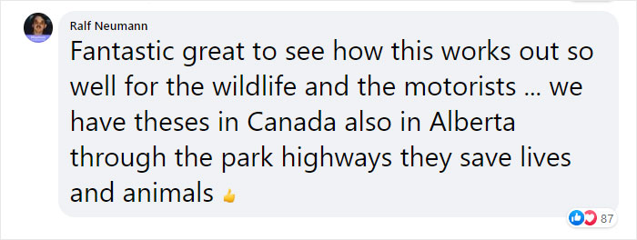 The Highway Overpass In Utah Is A Major Success And The Video Shows Many Wild Animals Using It To Avoid Danger