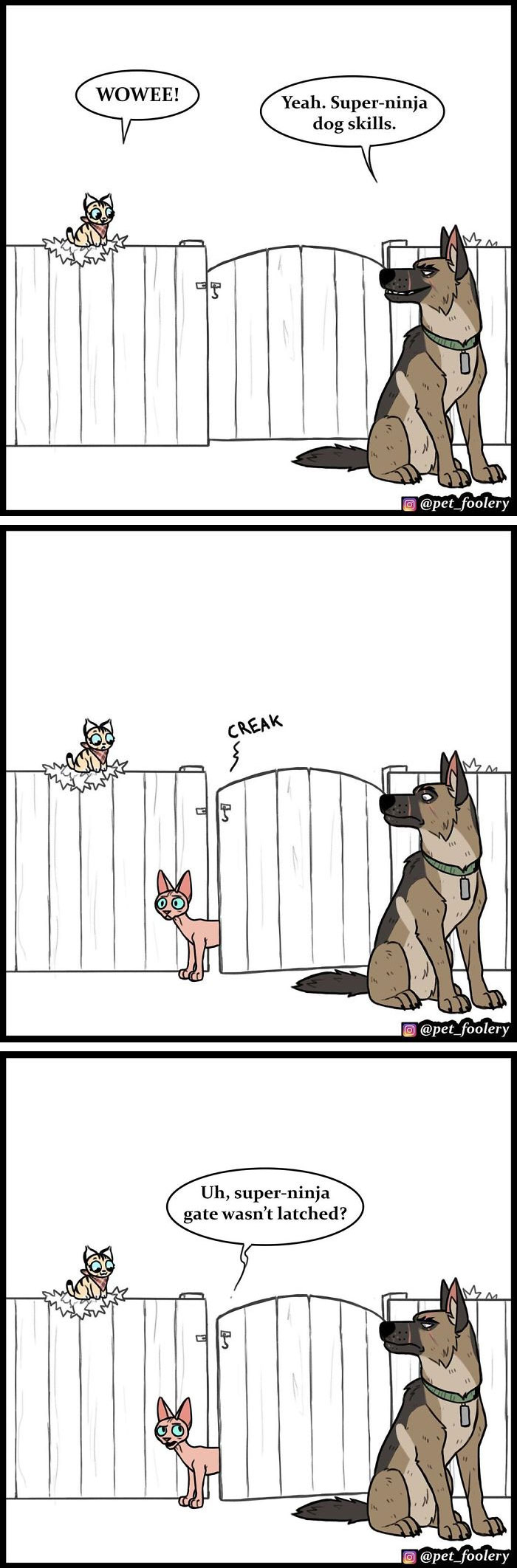 15 New Hilariously Adorable Comics About Brutus And Pixie To Instantly Make Your Day 15 New Hilariously Adorable Comics About Brutus And Pixie To Instantly Make Your Day