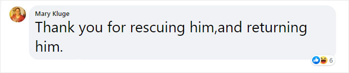 Sea Turtle Named Lou Learns To Swim Again After Losing Two Flippers In Fishing Nets Sea Turtle Named Lou Learns To Swim Again After Losing Two Flippers In Fishing Nets