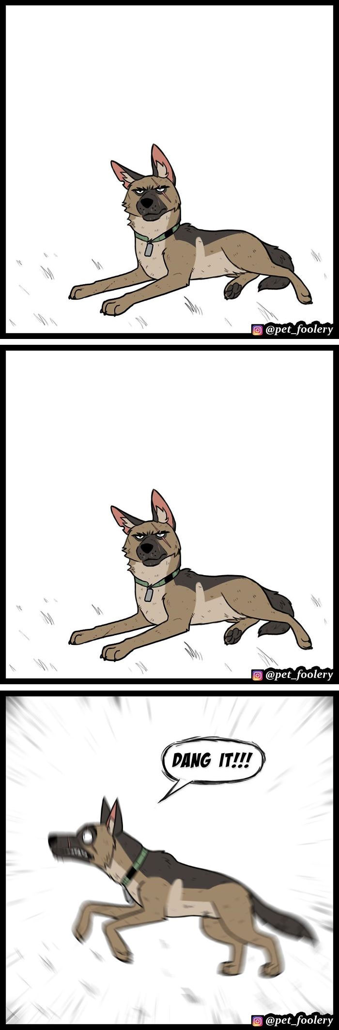 15 New Hilariously Adorable Comics About Brutus And Pixie To Instantly Make Your Day 15 New Hilariously Adorable Comics About Brutus And Pixie To Instantly Make Your Day