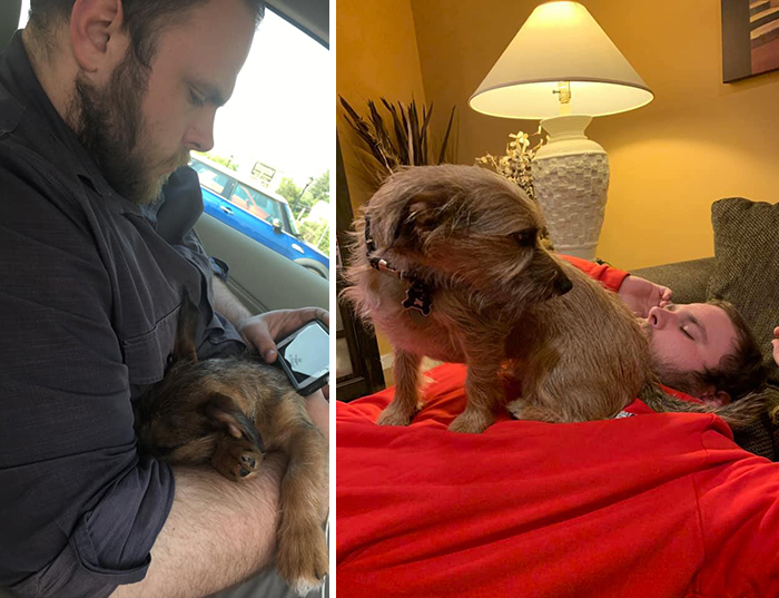 Didnt-Want-A-Dog-Challenge