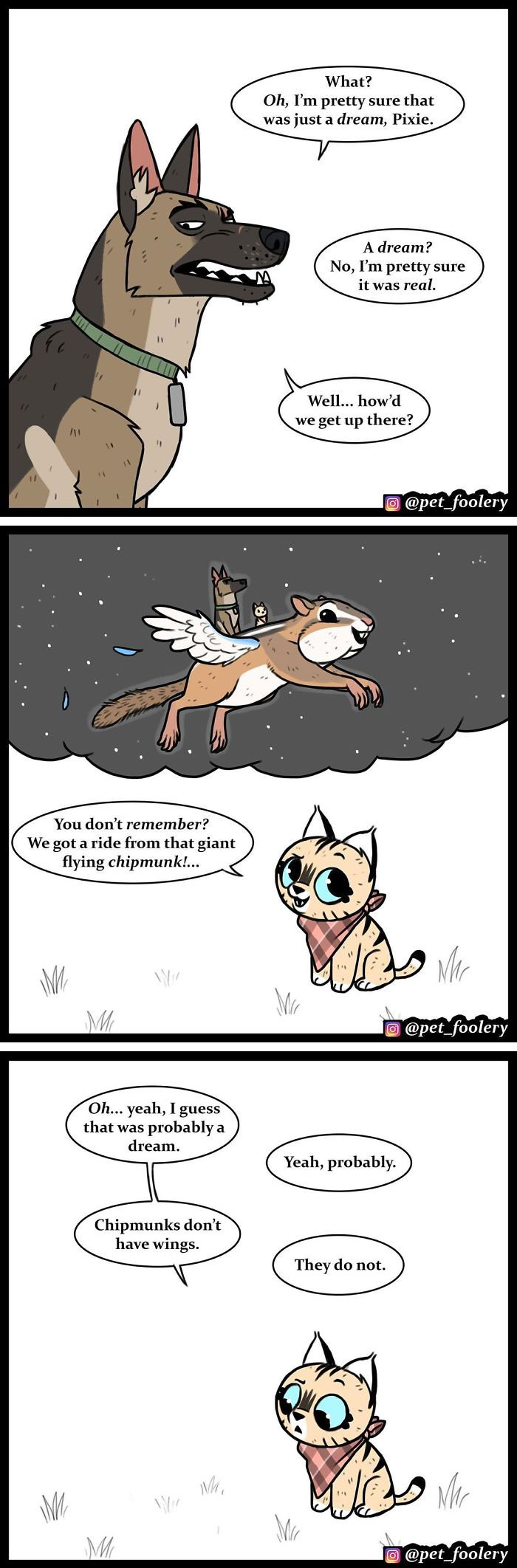 15 New Hilariously Adorable Comics About Brutus And Pixie To Instantly Make Your Day