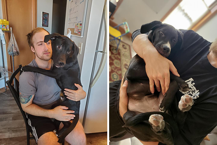 Didnt-Want-A-Dog-Challenge