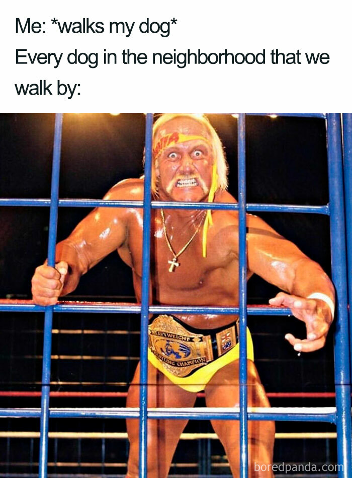 Muscular man behind bars with intense expression, representing aggressive dogs in funny dog memes about neighborhood walks.