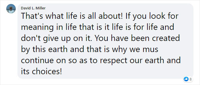 Sea Turtle Named Lou Learns To Swim Again After Losing Two Flippers In Fishing Nets