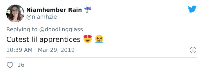 This Dad’s An Electrician In A Zoo And Here’s How He Spent His Morning With A Bunch Of Meerkats This Dad’s An Electrician In A Zoo And Here’s How He Spent His Morning With A Bunch Of Meerkats