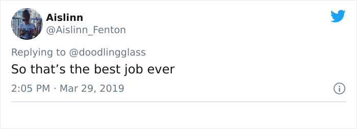 This Dad’s An Electrician In A Zoo And Here’s How He Spent His Morning With A Bunch Of Meerkats This Dad’s An Electrician In A Zoo And Here’s How He Spent His Morning With A Bunch Of Meerkats