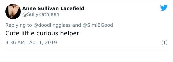 This Dad’s An Electrician In A Zoo And Here’s How He Spent His Morning With A Bunch Of Meerkats This Dad’s An Electrician In A Zoo And Here’s How He Spent His Morning With A Bunch Of Meerkats