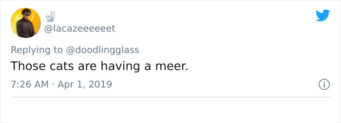 This Dad’s An Electrician In A Zoo And Here’s How He Spent His Morning With A Bunch Of Meerkats This Dad’s An Electrician In A Zoo And Here’s How He Spent His Morning With A Bunch Of Meerkats