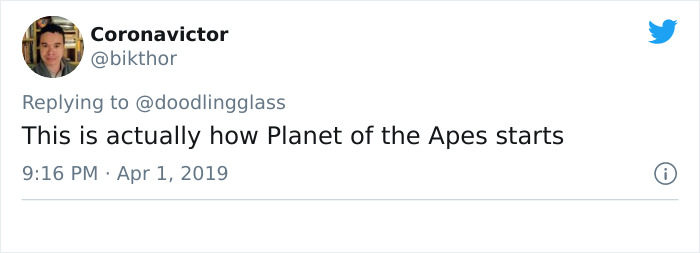 This Dad’s An Electrician In A Zoo And Here’s How He Spent His Morning With A Bunch Of Meerkats This Dad’s An Electrician In A Zoo And Here’s How He Spent His Morning With A Bunch Of Meerkats