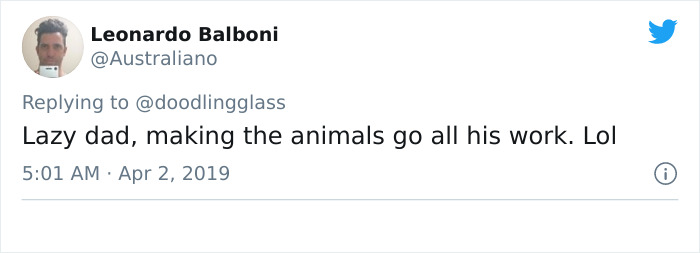 This Dad’s An Electrician In A Zoo And Here’s How He Spent His Morning With A Bunch Of Meerkats This Dad’s An Electrician In A Zoo And Here’s How He Spent His Morning With A Bunch Of Meerkats