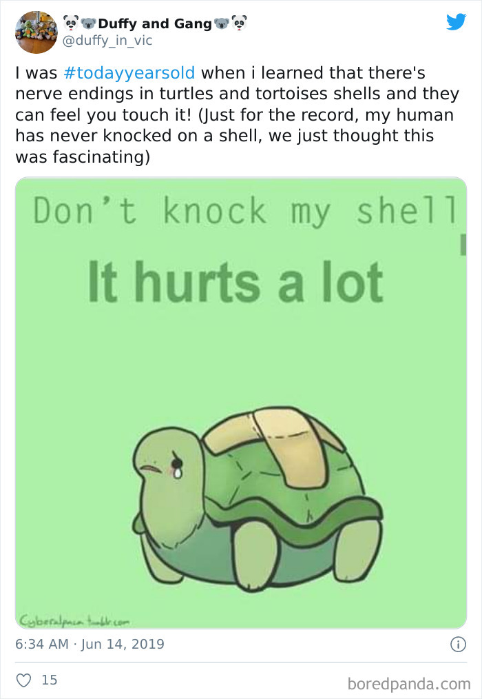 People-Share-Today-I-Learned-Interesting-Facts