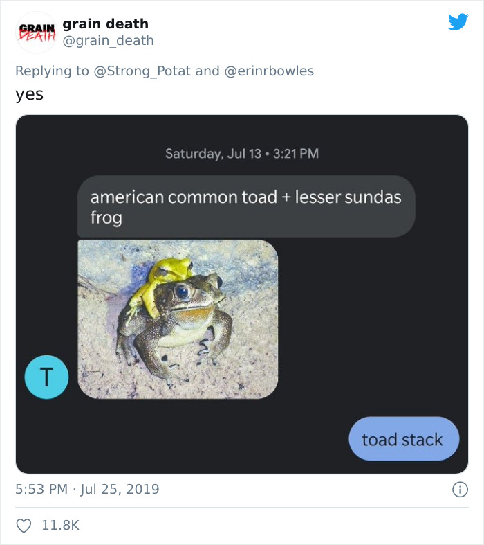 Unknown Number Starts Sending This Guy Toad Pics Without Any Context, Hilarity Ensues