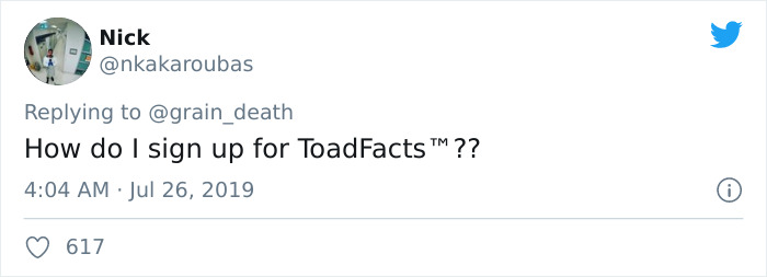 Unknown Number Starts Sending This Guy Toad Pics Without Any Context, Hilarity Ensues