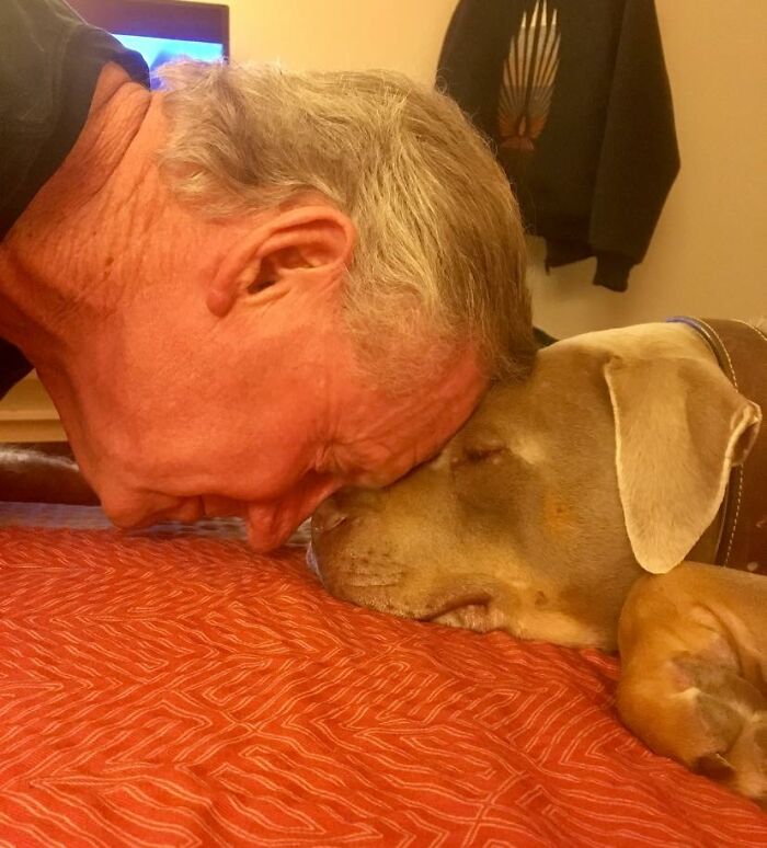 Didnt-Want-A-Dog-Challenge