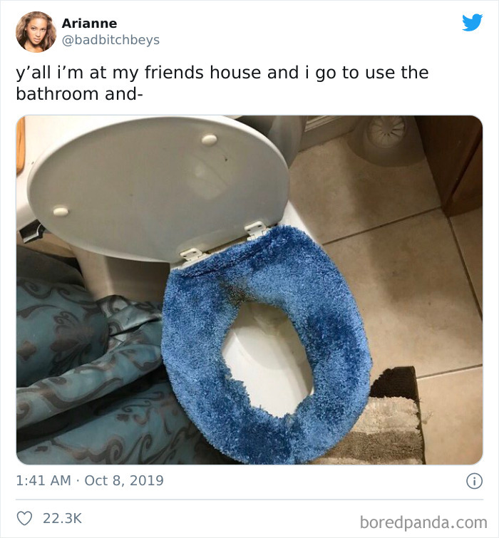 This Toilet Seat Cover