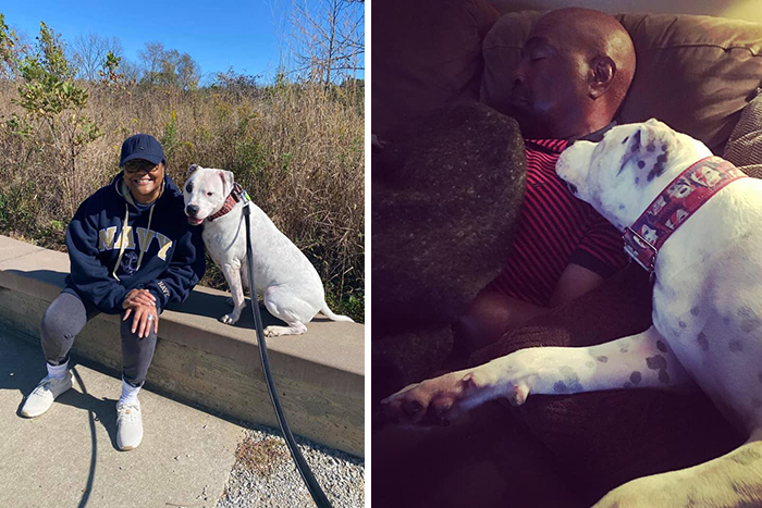 Didnt-Want-A-Dog-Challenge