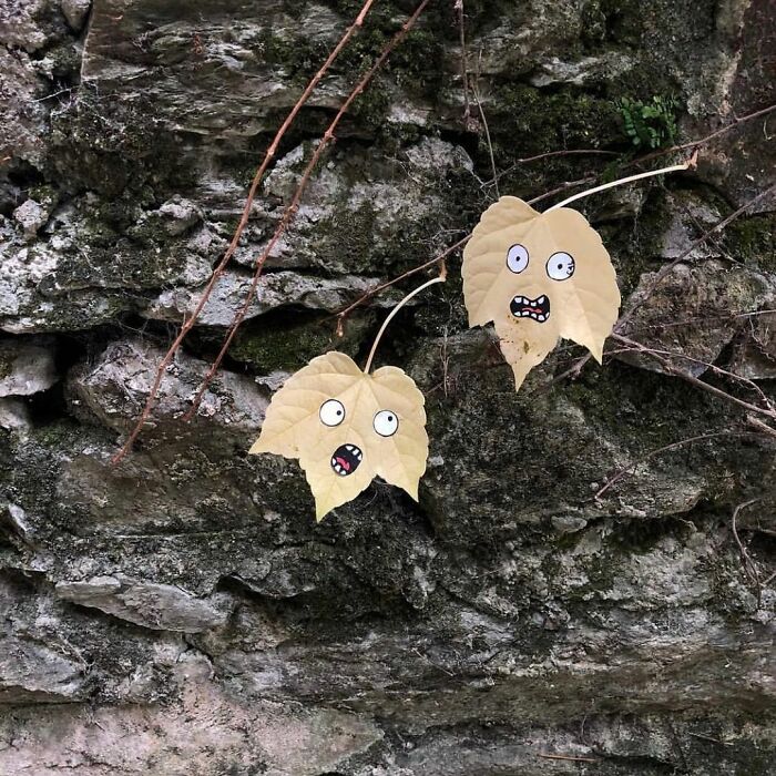 Creative-Street-Vandalism-Graffiti-Cal-Dessins-And-Co